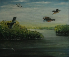 Kr&oacute;lestwo ptak&oacute;w