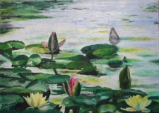 Grzybienie na jeziorze Stob&oacute;r