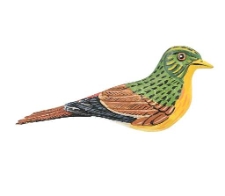 Ptak malowany - kukułka