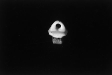 Wieczko od pojemnika na korzenie - Świecie