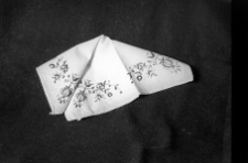 Serwetka - Wdzydze [3]