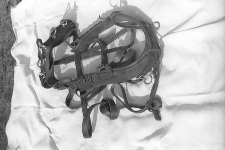 Uprząż wyjazdowa - Brodnica Dolna [1]