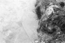 Ł&oacute;dź dłubanka - Owśnice