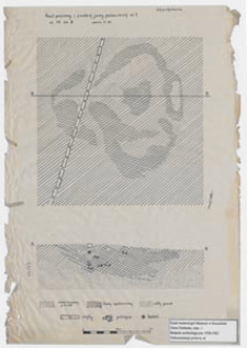 Koszalin - G&oacute;ra Chełmska, stanowisko 1. Rzut poziomy i przekr&oacute;j jamy paleniskowej nr 1 ar 13 ćw B