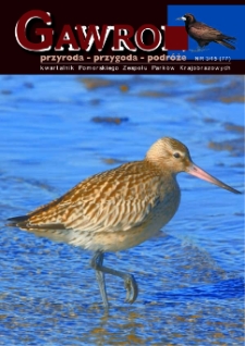 Gawron, 2015, nr 3
