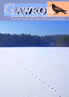 Gawron, 2014, nr 4