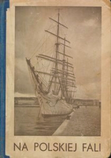 Na polskiej fali : powieść dla młodzieży z rycinami