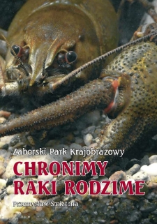 Chronimy raki rodzime