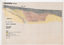 Człuch&oacute;w - Fosa IIa. Stanowisko 1. Profil południowy