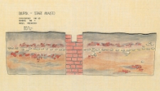 Słupsk - Stare Miasto. Profil p&oacute;łnocny. Stanowisko 45, sondaż 1