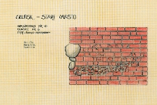 Słupsk - Stare Miasto. Profil ściany południowy. Stanowisko 45, sondaż 3