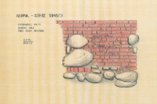 Słupsk - Stare Miasto. Profil ściany zachodniej. Stanowisko 45, sondaż 3