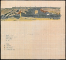 Słupsk - Grodzisko. Profil zachodni. Stanowisko 1, wyk. II