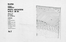 Słupsk - Grodzisko. Profil wschodni. Stanowisko 1, wyk. II, Ar 84