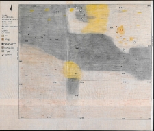 Słupsk - Grodzisko. Rzut warstwy II. Stanowisko 1, wyk. II, Ar 83