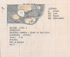 Słupsk - Grodzisko. Skupisko kamieni i gliny w płn-zach. narożniku wykopu