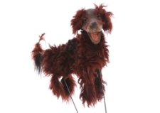 Piesek (jeden z trzech)