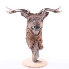 Maska - głowa jelenia ze spektaklu ,,Wiedźmin&rdquo;