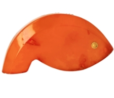 Amber fish
