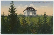 Pocztówka kolorowa "Ostseebad Zoppot – Kronprinzen – Villa"