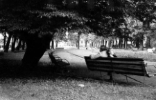 Sienkiewicz Avenue - Park