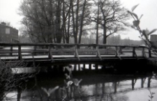 Bridge connecting the banks of the Młyn&oacute;wka near the timber yard