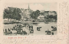 Swimming horses in the river, panorama of the left bank of Stolp