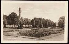 Rose garden in Stolp