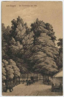 Poczt&oacute;wka, Alt-Zoppot Die Seestrasse