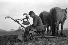 Transmisja z Wyścigu Pokoju przy pracy w polu