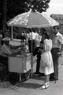 Saturator - a vehicle on two wheels