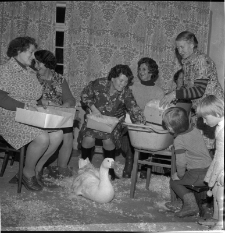 Darcie pierza, młyn