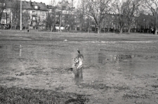 Jadwiga Girsa-Zimny's dog - Muhtar