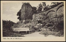 Mury miejskie i ogr&oacute;d zamkowy w Stolpie