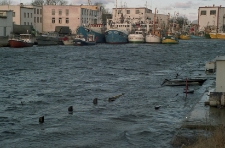 Flooding in the harbour