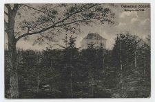 Poczt&oacute;wka czarno-biała &bdquo;Ostseebad Zoppot. Kronprinzen-Villa", nieobiegowa