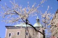 Zamek Książąt Pomorskich w Słupsku