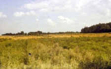 R&oacute;wnina słupska, okolice Ryczewa