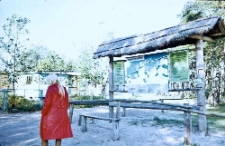 Rowy - Słowiński Park Narodowy