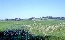 Dolina Moszczeniczki (lub Moszczenicy) koło Swołowa