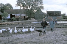 Swołowo, projekt renowacji