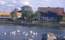 Swołowo 38, staw