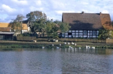 Swołowo 38, staw