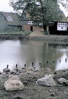 Swołowo 24, staw