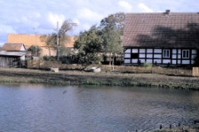 Staw w Swołowie