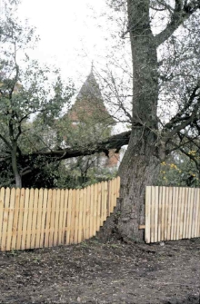 Swołowo - realicacja projektu Agrolinia