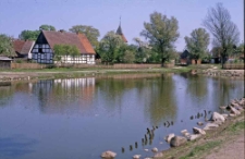 Widok na staw w Swołowie