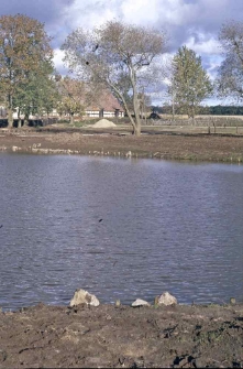 Swołowo - staw projekt Agrolinia