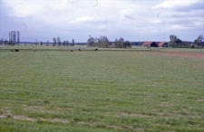 Swołowo, widok na łąki