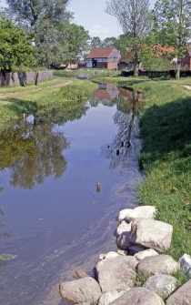 Staw w Swołowie